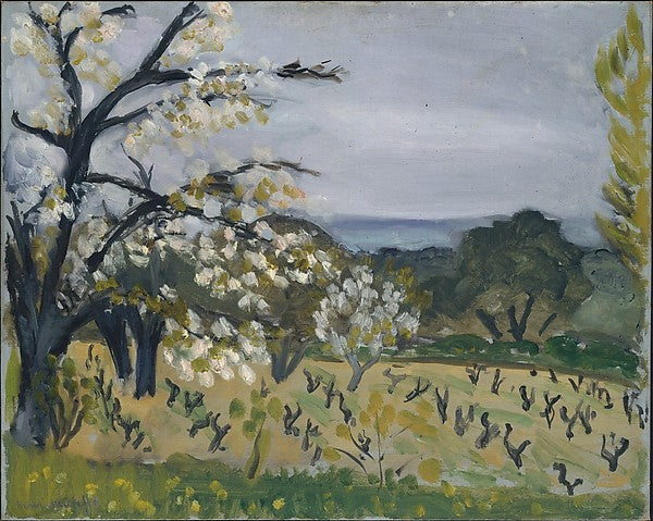 Nice Landscape 1919 