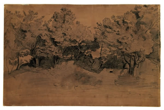 Royat landscape - Tree study - 1839