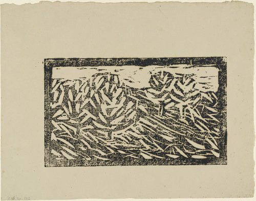 Landscape (survey) - 1911