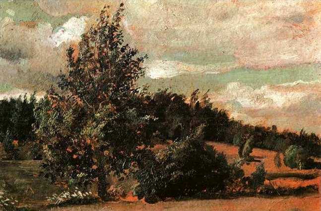 Paysage. Vent - 1907