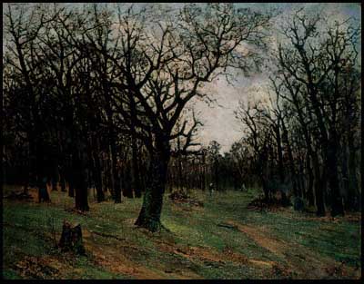 Forest without leaves