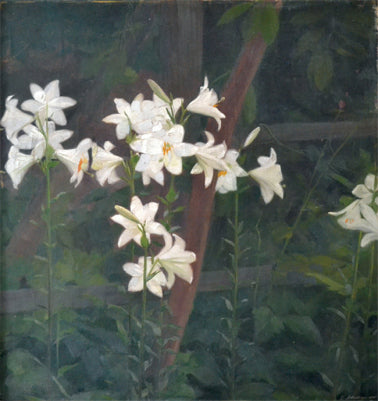 Lilies