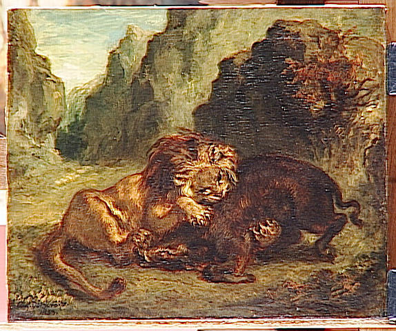 León en Jabalí - 1853