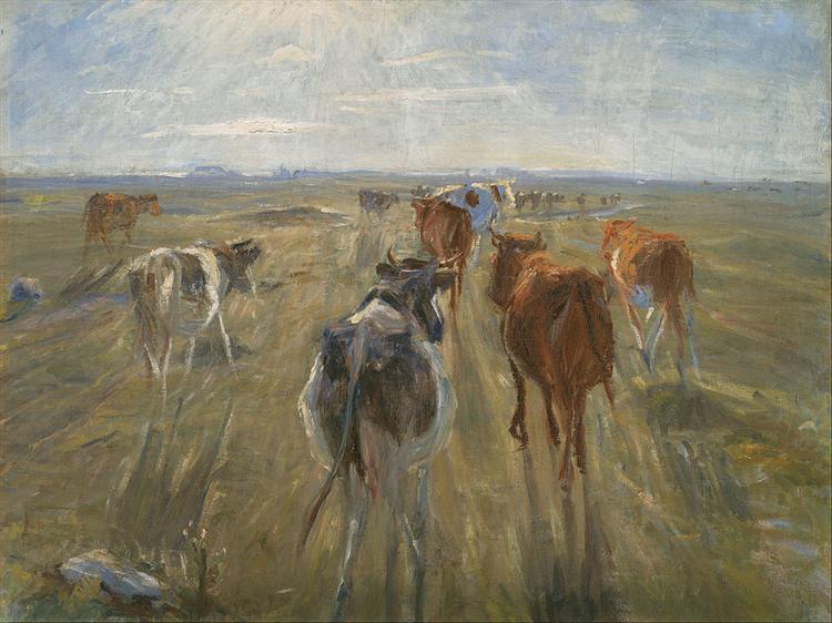 Long shadows. Cattle on the island of Saltholm - 1890