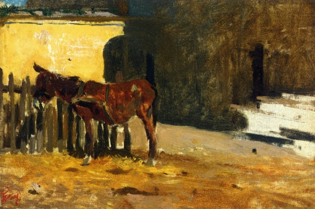 A donkey in a patio