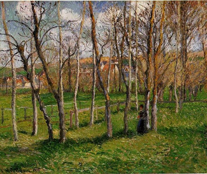 Pradera De Bazincourt - 1895