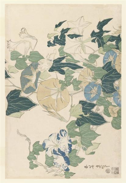 Morning Glories in Flowers and Buds - 1832