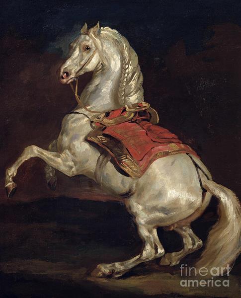 Napoleon's stallion - Tamerlan