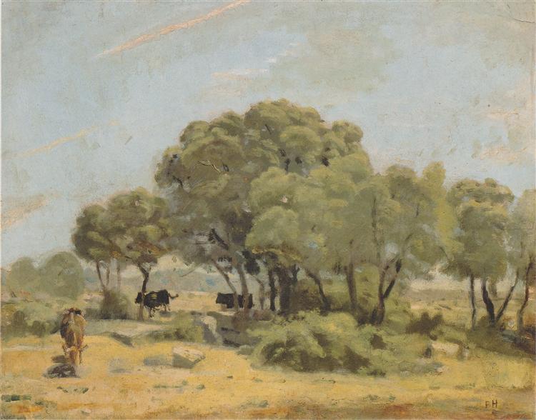 Olivos in Spain - 1878