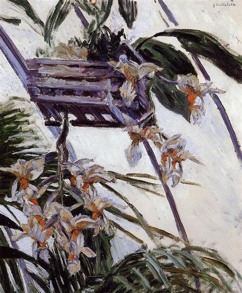 Orchideen - 1893