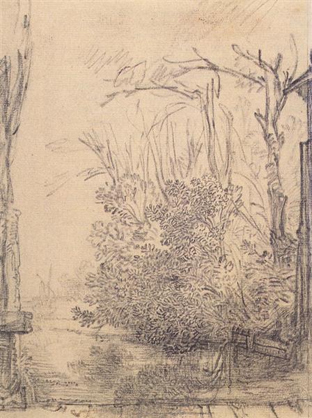 Hanging Bushes in a Ditch - 1640