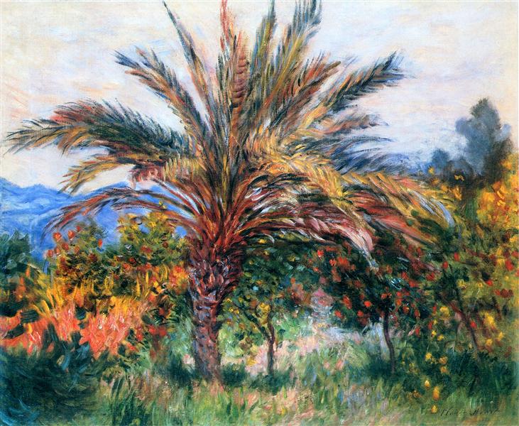 Palmeira em Bordighera - 1884