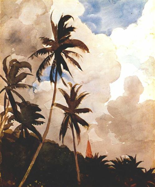 Palmerat (Bahama) - 1888