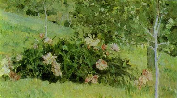 Peonia - 1908