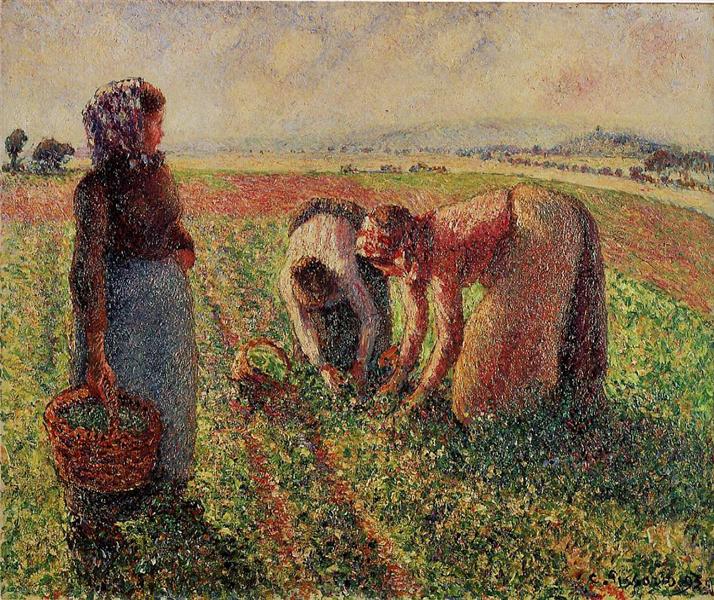 Picking Peas - 1893