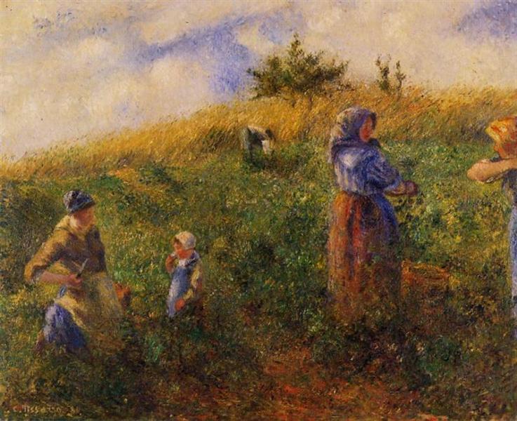 Gathering peas - 1880