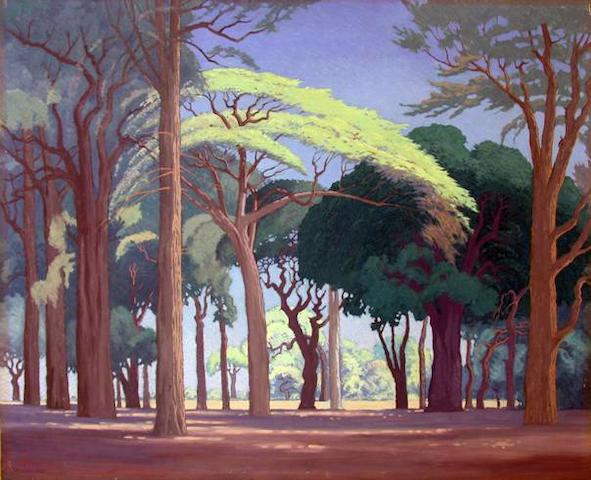 Arbres de Pierneef