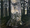 pintura Abedul En Un Bosque - Gustav Klimt