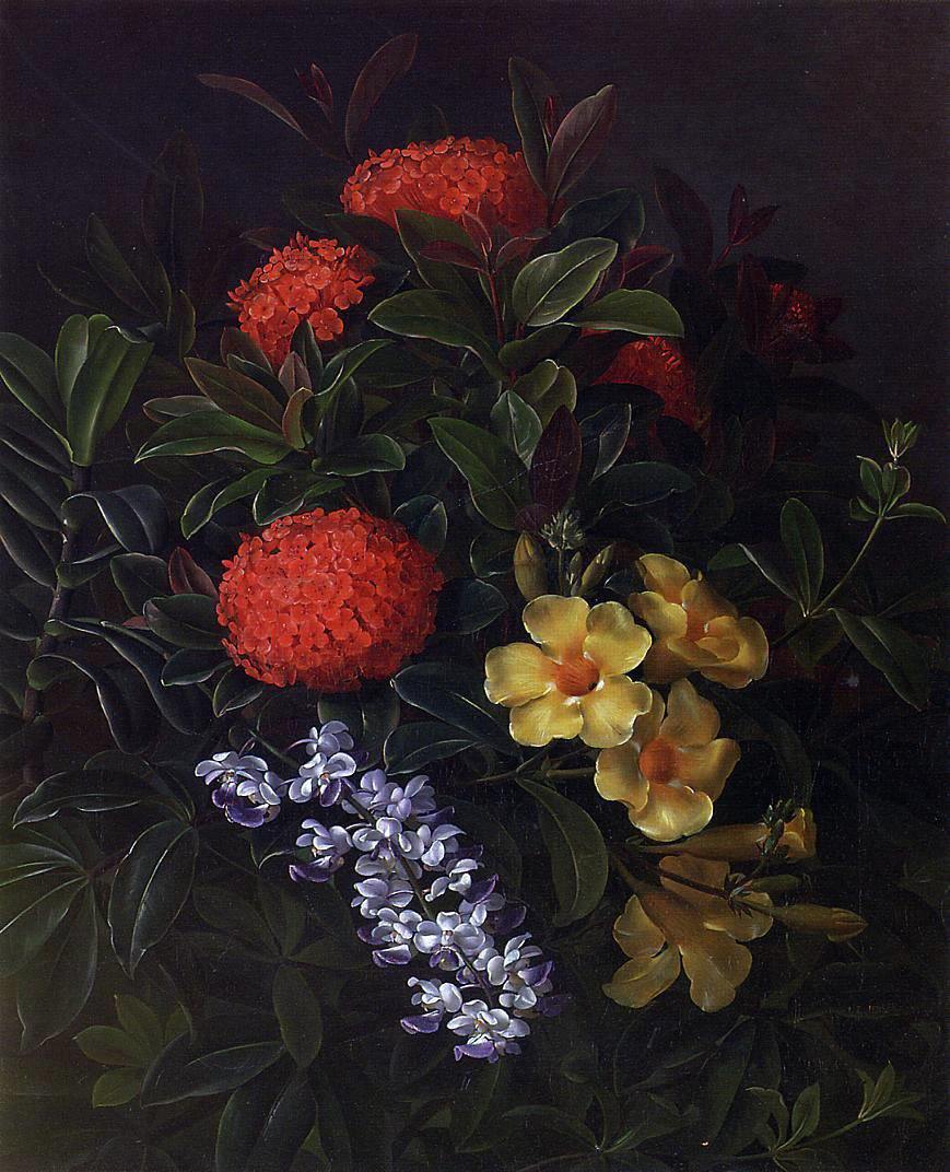 pintura Allemanda, Ixora Y Orquídeas - Johan Laurentz Jensen