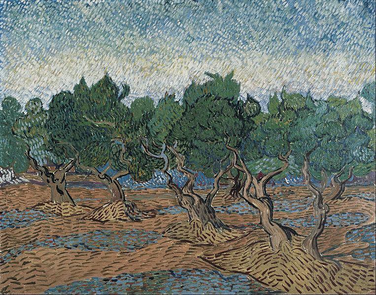 pintura Arboleda De Olivos - Vincent Van Gogh