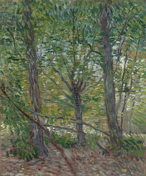 pintura Árboles Y Maleza - Vincent Van Gogh