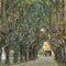 pintura Avenida En El Parque De Schloss Kammer - Gustav Klimt