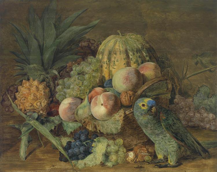 pintura Bodegón De Frutas Con Un Loro Amazónico - Ferdinand Georg Waldmuller