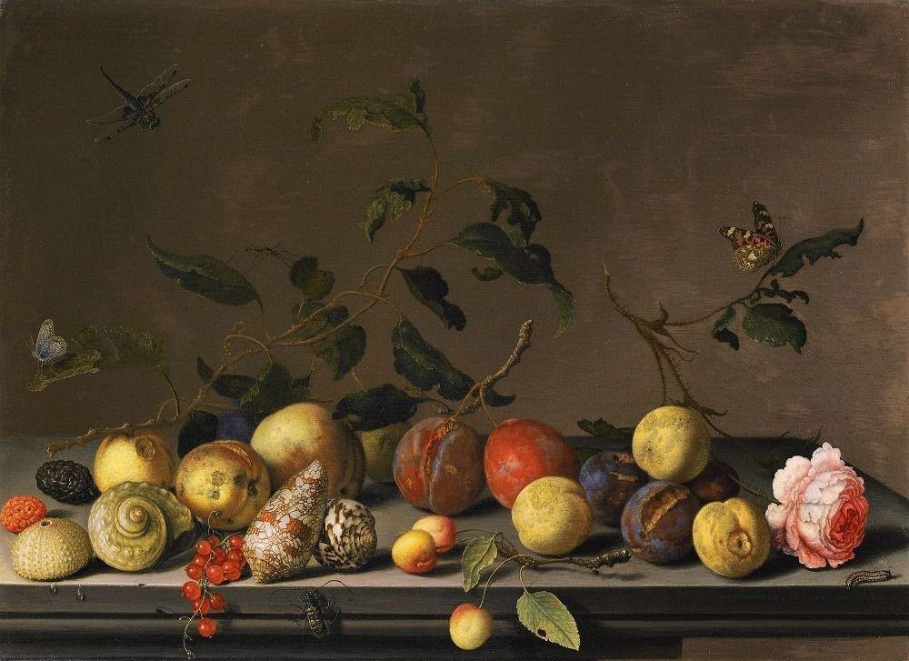 pintura Bodegón De Frutas Y Conchas Con Una Rosa Y Varios Insectos Sobre Una Repisa De Piedra - Balthasar Van Der Ast