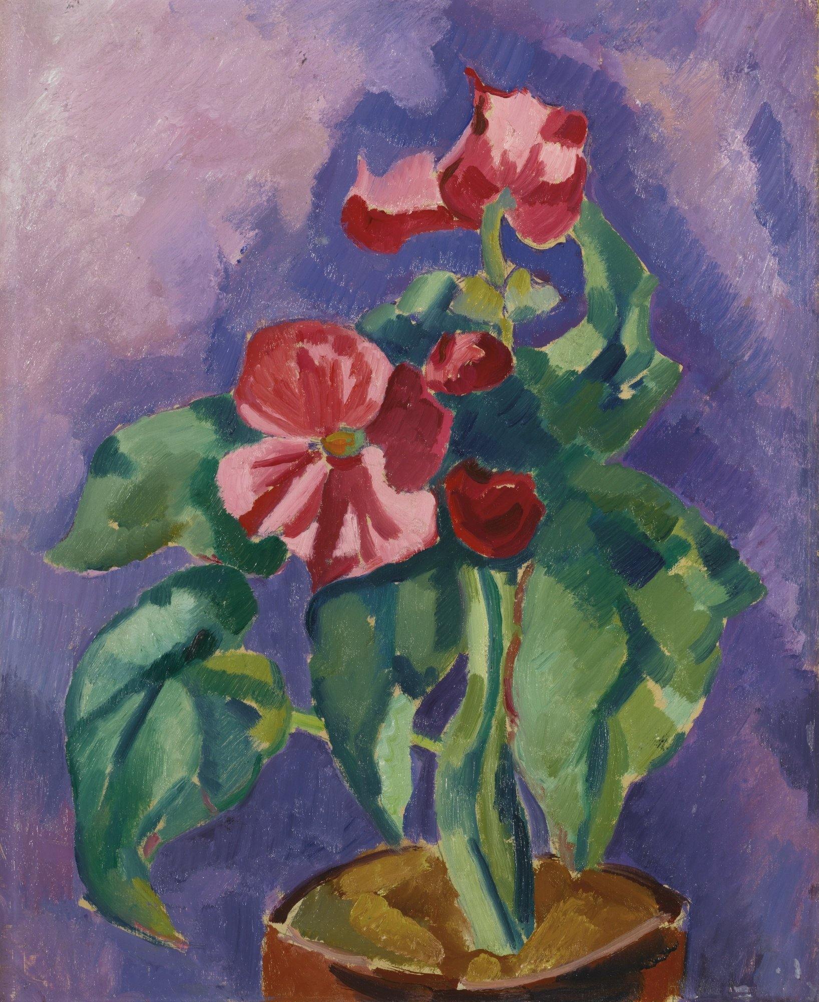 pintura Bodegón - Begonias Rosadas - Marsden Hartley