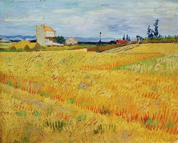 pintura Campo De Trigo - Vincent Van Gogh