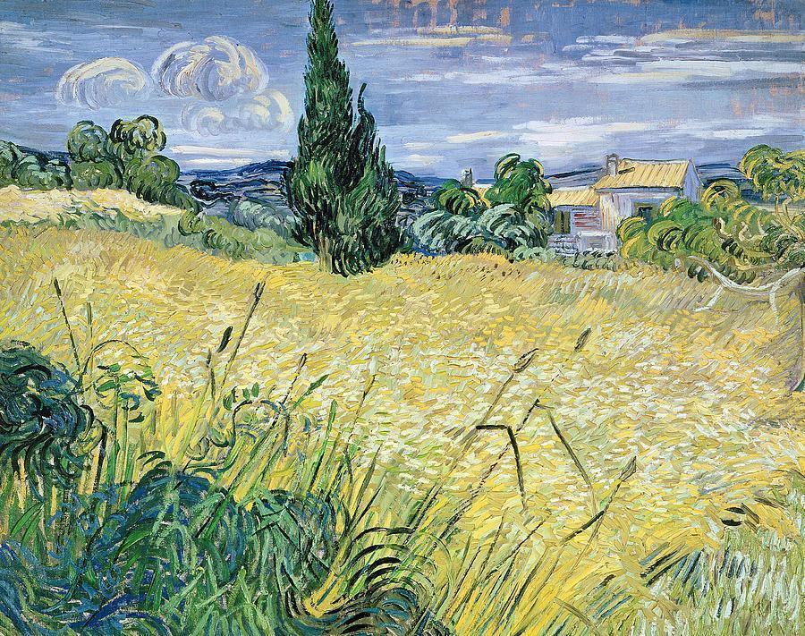 pintura Campo De Trigo Verde Con Cypress - Vincent Van Gogh