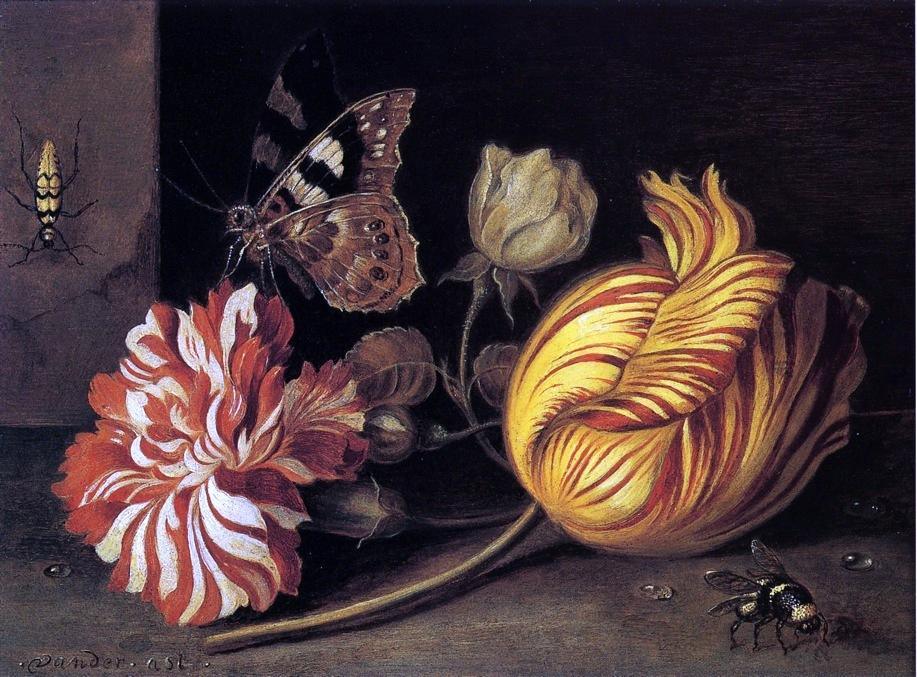 pintura Estudio De Flores E Insectos - Balthasar Van Der Ast