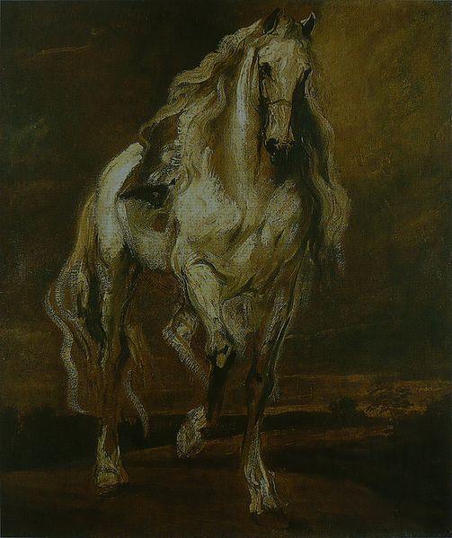 pintura Estudio De Un Caballo - Anthony Van Dyck
