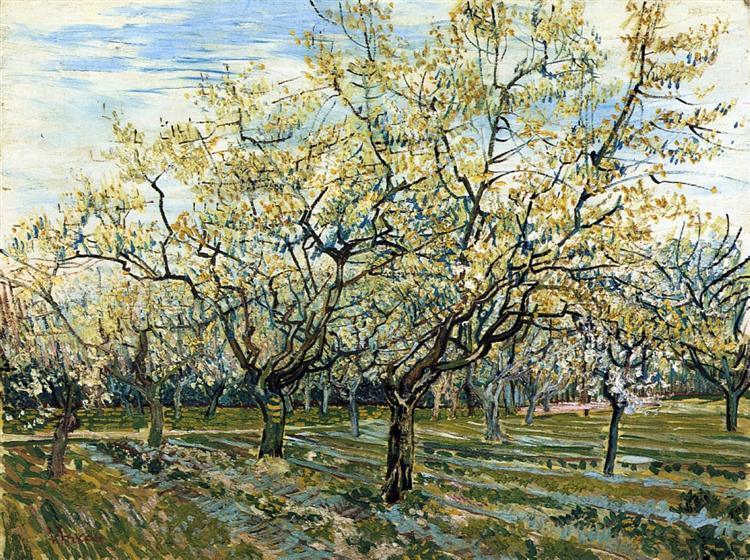 pintura Huerta Con Ciruelos Florecientes - Vincent Van Gogh