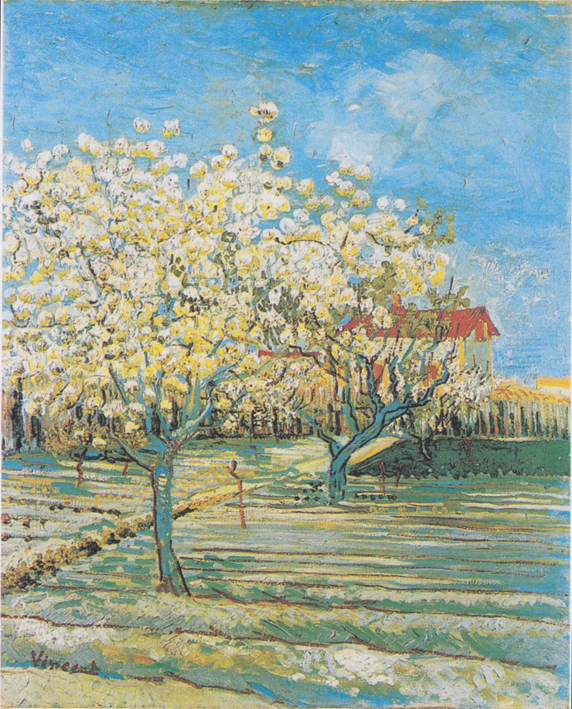 pintura Huerto Floreciente - Vincent Van Gogh