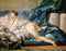 pintura La Odalisca Morena - François Boucher
