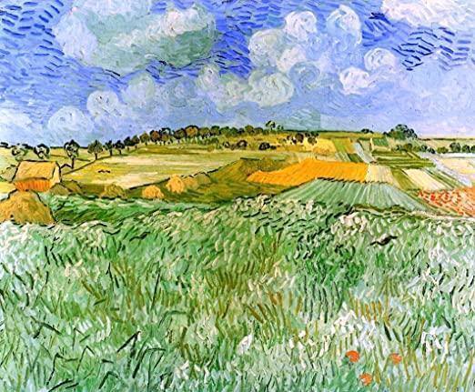 pintura Llanura Cerca De Auvers - Vincent Van Gogh