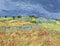 pintura Los Campos - Vincent Van Gogh