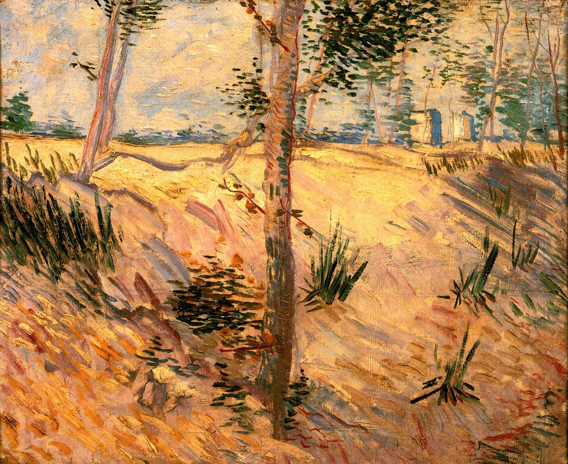 pintura Los Troncos De Los Árboles A La luz Del Sol - Vincent Van Gogh
