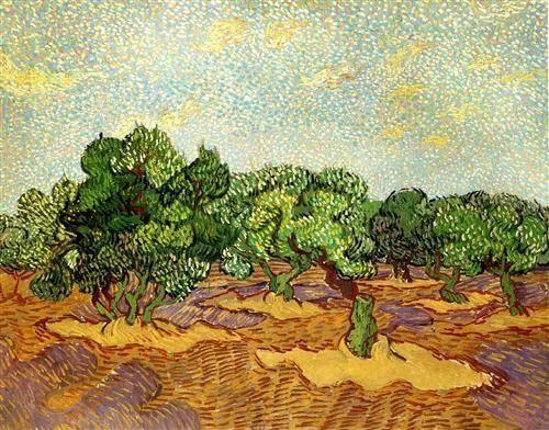 pintura Olivar, Cielo Azul Pálido - Vincent Van Gogh
