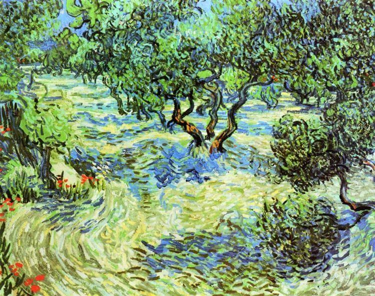 pintura Olivar, Cielo azul brillante - Vincent Van Gogh