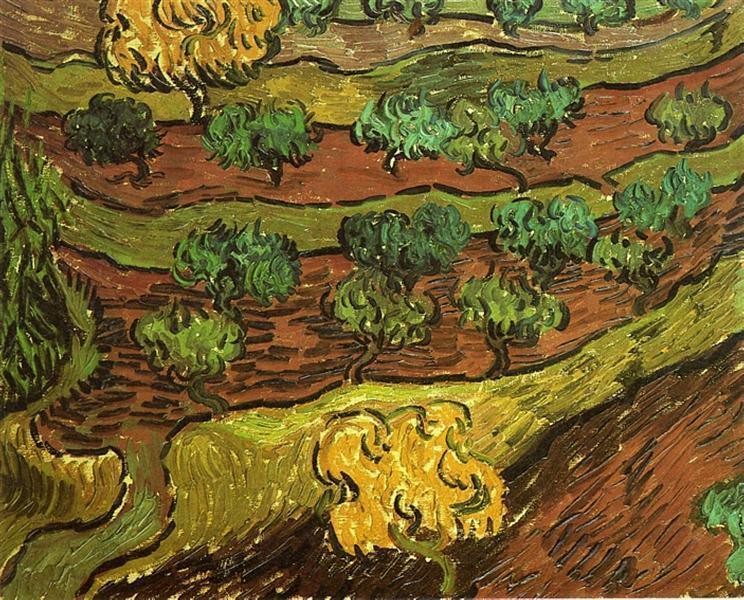 pintura Olivos Contra La Pendiente De Una Colina - Vincent Van Gogh