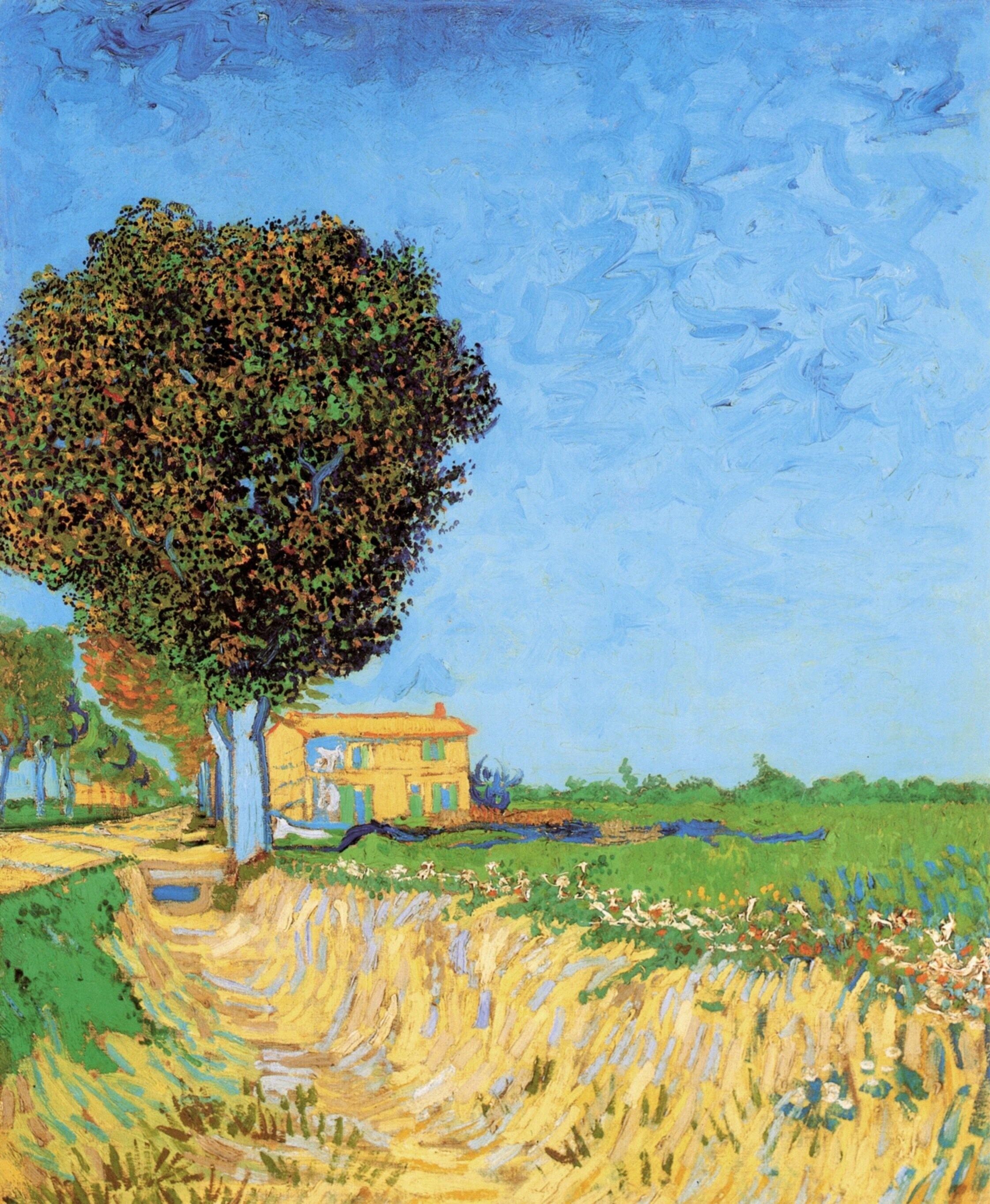 pintura Un Carril Cerca De Arles - Vincent Van Gogh