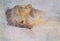pintura Viejo En El Lecho De Muerte - Gustav Klimt