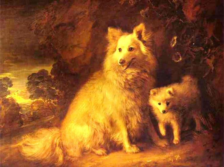 Perra Y Cachorro De Pomerania - 1777