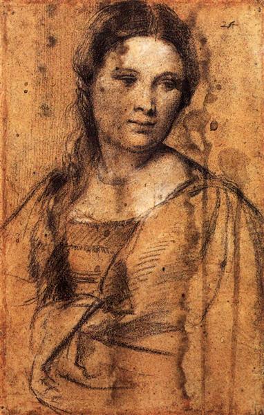 Ritratto di una giovane donna - 1515