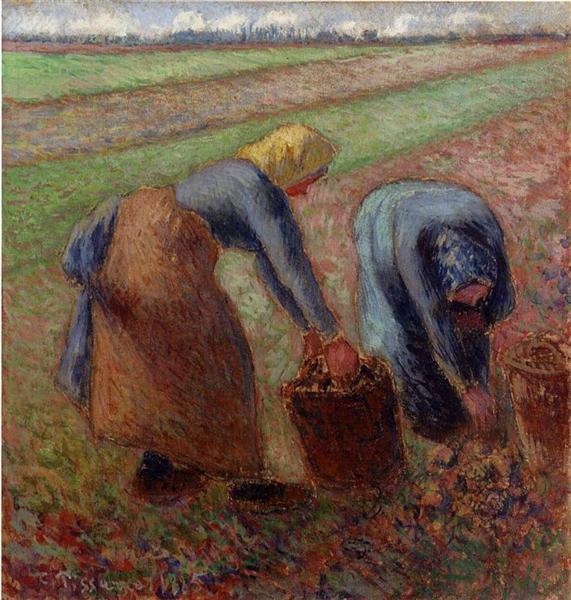 Potato Harvest - 1885