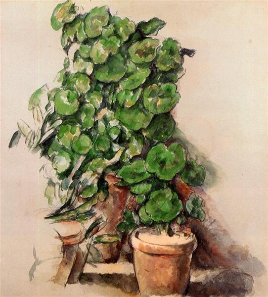 Geranium Pots - 1888