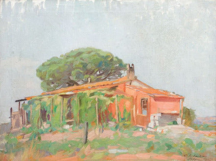 Vineti della Provenza