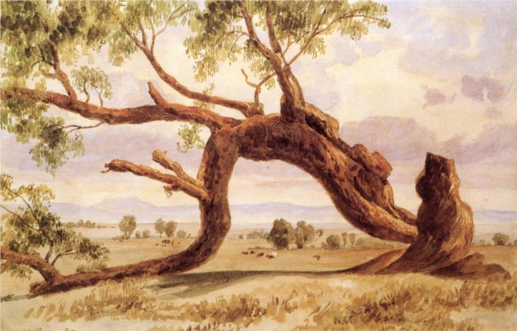 Albero caduto